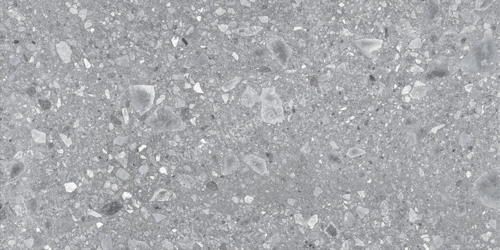  Ragno Realstone_Ceppo XT20 Grigio 60x120x2 cm Terrassenplatte Matt Eben Naturale RCYP | 687458