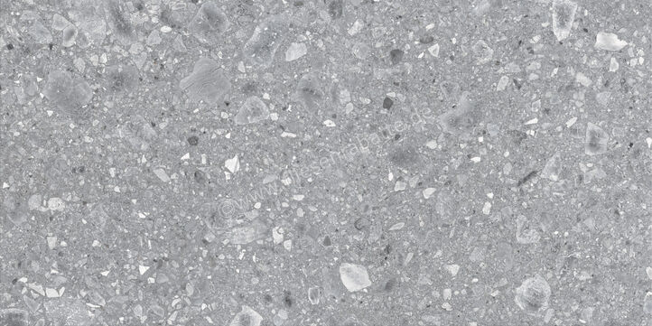  Ragno Realstone_Ceppo XT20 Grigio 60x120x2 cm Terrassenplatte Matt Eben Naturale RCYP | 687461