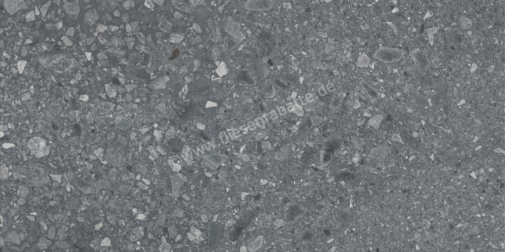 Ragno Realstone_Ceppo XT20 Antracite 60x120x2 cm Terrassenplatte Matt Eben Naturale RCYR | 687488