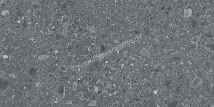 Ragno Realstone_Ceppo XT20 Antracite 60x120x2 cm Terrassenplatte Matt Eben Naturale RCYR | 687503