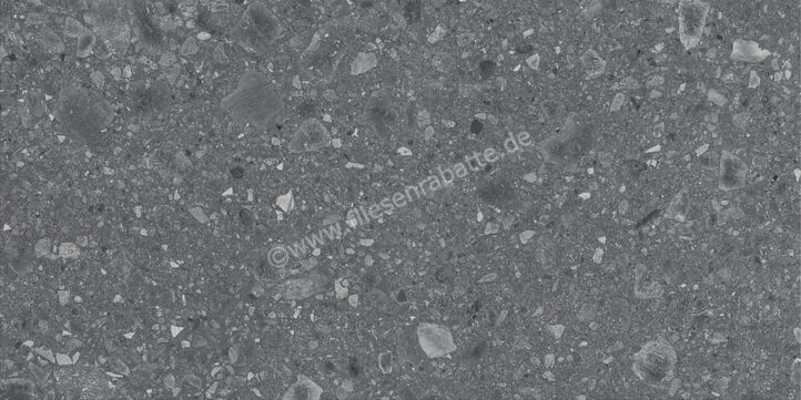  Ragno Realstone_Ceppo XT20 Antracite 60x120x2 cm Terrassenplatte Matt Eben Naturale RCYR | 687509