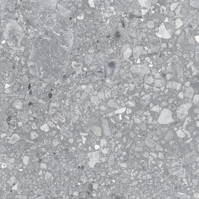  Ragno Realstone_Ceppo XT20 Grigio 60x60x2 cm Terrassenplatte Matt Eben Naturale RD7F | 687563
