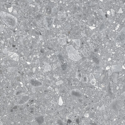  Ragno Realstone_Ceppo XT20 Grigio 60x60x2 cm Terrassenplatte Matt Eben Naturale RD7F | 687569