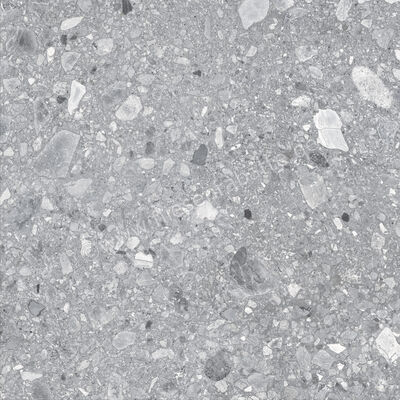  Ragno Realstone_Ceppo XT20 Grigio 60x60x2 cm Terrassenplatte Matt Eben Naturale RD7F | 687572