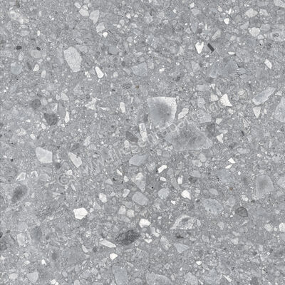  Ragno Realstone_Ceppo XT20 Grigio 60x60x2 cm Terrassenplatte Matt Eben Naturale RD7F | 687578