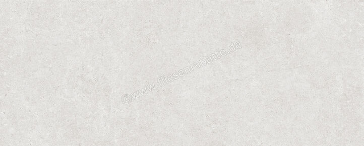  Ragno Creek Grigio 20x50 cm Wandfliese Matt Eben Naturale R3RG | 688385