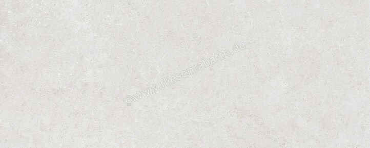  Ragno Creek Grigio 20x50 cm Wandfliese Matt Eben Naturale R3RG | 688391