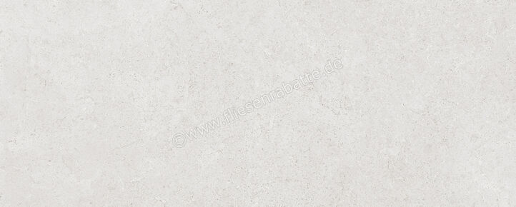  Ragno Creek Grigio 20x50 cm Wandfliese Matt Eben Naturale R3RG | 688400