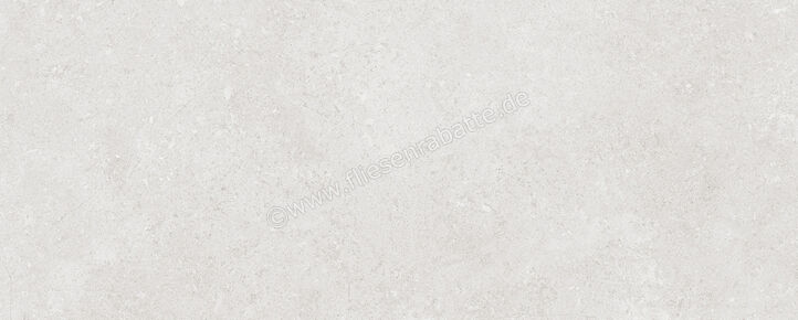  Ragno Creek Grigio 20x50 cm Wandfliese Matt Eben Naturale R3RG | 688406