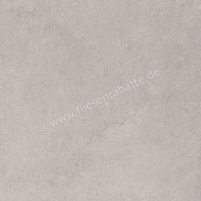  Ragno Creek Grigio 60x60 cm Bodenfliese / Wandfliese Matt Eben Naturale R4EE | 688574