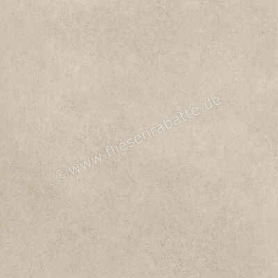  Ragno Creek Avorio 60x60 cm Bodenfliese / Wandfliese Matt Eben Naturale R4EG | 688610