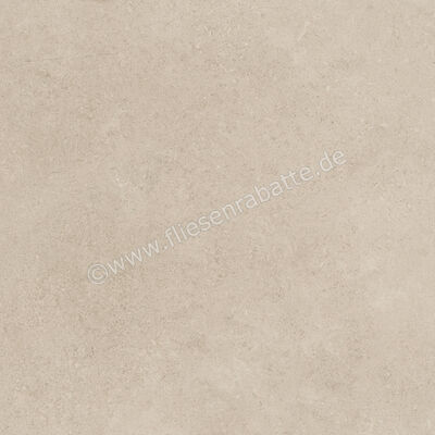  Ragno Creek Avorio 60x60 cm Bodenfliese / Wandfliese Matt Eben Naturale R4EG | 688616