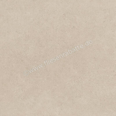  Ragno Creek Avorio 60x60 cm Bodenfliese / Wandfliese Matt Eben Naturale R4EG | 688622