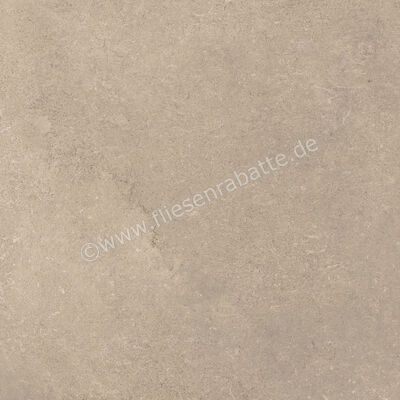  Ragno Creek Beige 60x60 cm Bodenfliese / Wandfliese Matt Eben Naturale R4EH | 688631