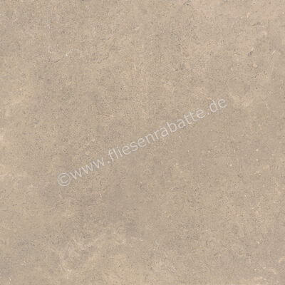  Ragno Creek Beige 60x60 cm Bodenfliese / Wandfliese Matt Eben Naturale R4EH | 688646