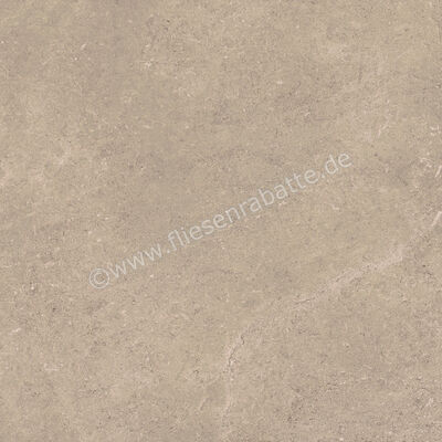  Ragno Creek Beige 60x60 cm Bodenfliese / Wandfliese Matt Eben Naturale R4EH | 688649