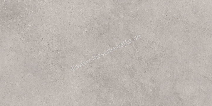  Ragno Creek Grigio 30x60 cm Bodenfliese / Wandfliese Matt Eben Naturale R4HL | 688676