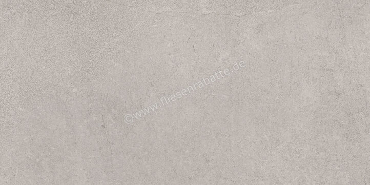  Ragno Creek Grigio 30x60 cm Bodenfliese / Wandfliese Matt Eben Naturale R4HL | 688682