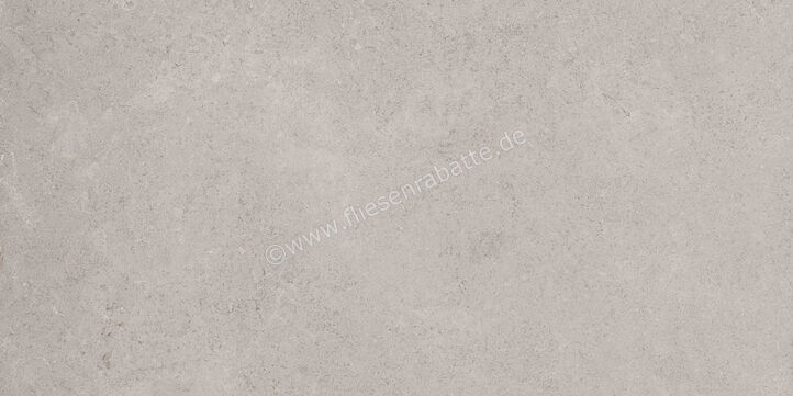  Ragno Creek Grigio 30x60 cm Bodenfliese / Wandfliese Matt Eben Naturale R4HL | 688691