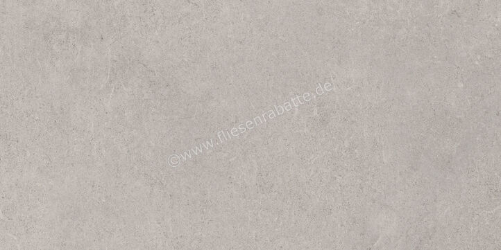  Ragno Creek Grigio 30x60 cm Bodenfliese / Wandfliese Matt Eben Naturale R4HL | 688694