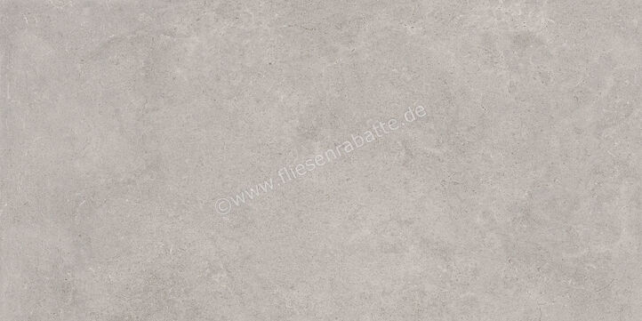  Ragno Creek Grigio 30x60 cm Bodenfliese / Wandfliese Matt Eben Naturale R4HL | 688697