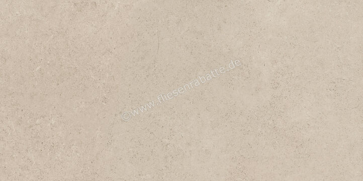  Ragno Creek Avorio 30x60 cm Bodenfliese / Wandfliese Matt Eben Naturale R4HN | 688736