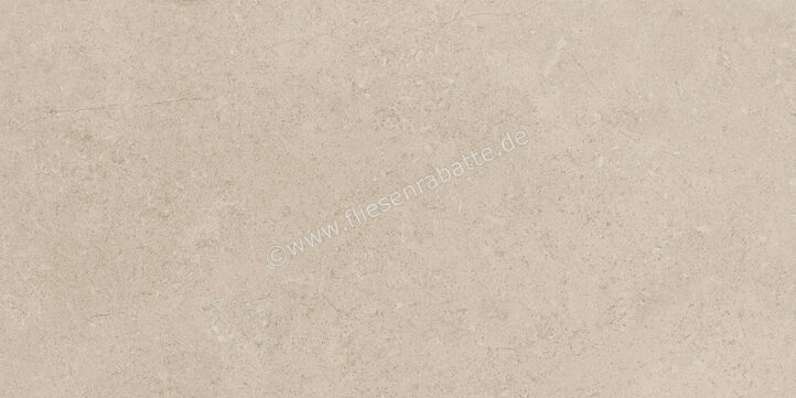 Ragno Creek Avorio 30x60 cm Bodenfliese / Wandfliese Matt Eben Naturale R4HN | 688739