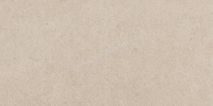  Ragno Creek Avorio 30x60 cm Bodenfliese / Wandfliese Matt Eben Naturale R4HN | 688745