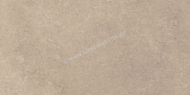  Ragno Creek Beige 30x60 cm Bodenfliese / Wandfliese Matt Eben Naturale R4KX | 688754