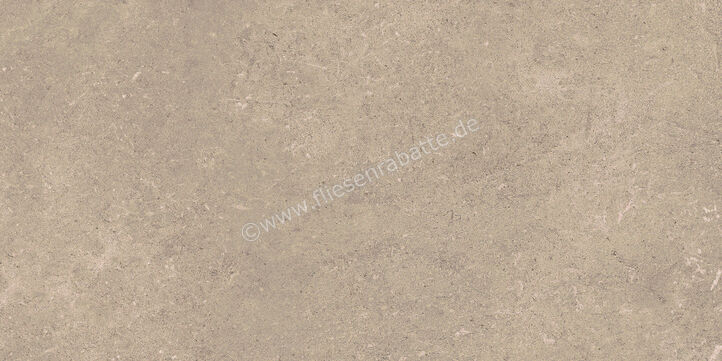  Ragno Creek Beige 30x60 cm Bodenfliese / Wandfliese Matt Eben Naturale R4KX | 688772