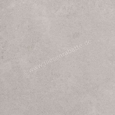  Ragno Creek Grigio 45x45 cm Bodenfliese / Wandfliese Matt Eben Naturale R5J3 | 688859