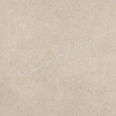  Ragno Creek Avorio 45x45 cm Bodenfliese / Wandfliese Matt Eben Naturale R5J5 | 688898