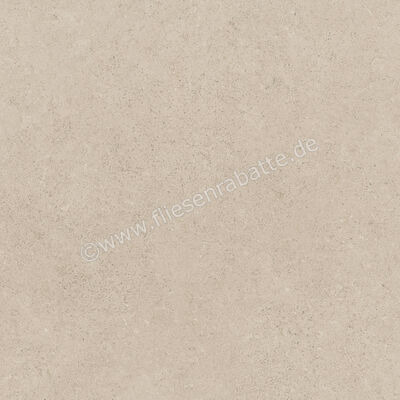  Ragno Creek Avorio 45x45 cm Bodenfliese / Wandfliese Matt Eben Naturale R5J5 | 688910
