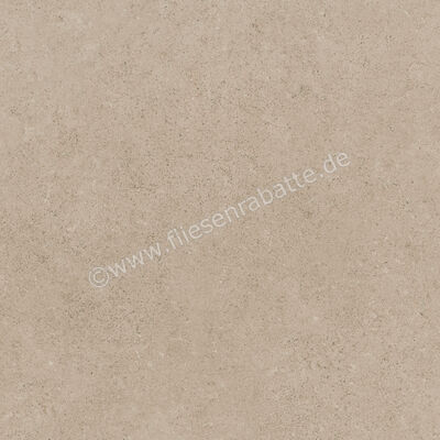  Ragno Creek Beige 45x45 cm Bodenfliese / Wandfliese Matt Eben Naturale R5J6 | 688934