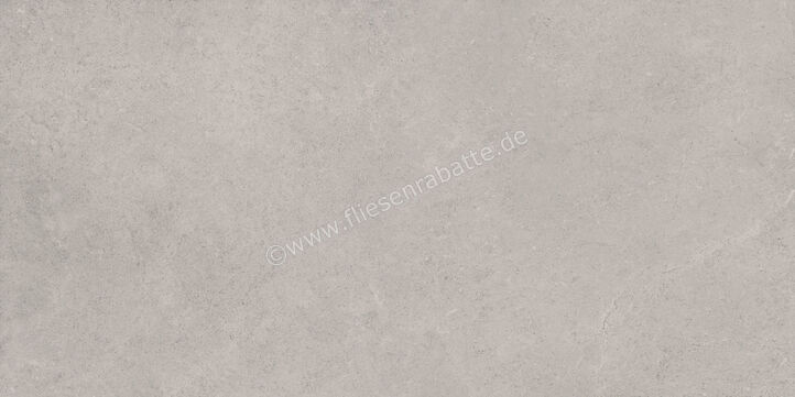  Ragno Creek Grigio 60x120 cm Bodenfliese / Wandfliese Matt Eben Naturale R5JZ | 688949