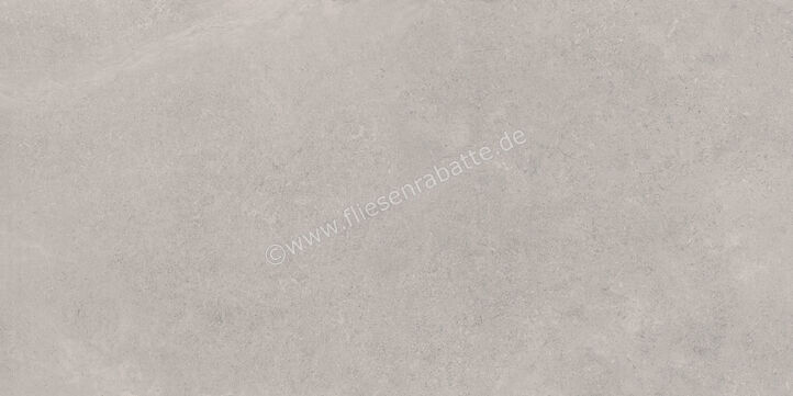  Ragno Creek Grigio 60x120 cm Bodenfliese / Wandfliese Matt Eben Naturale R5JZ | 688964