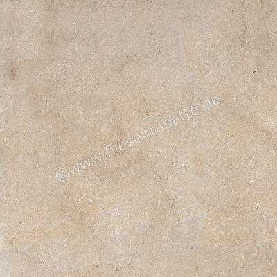  Ragno Realstone_Jerusalem Noce 75x75 cm Bodenfliese / Wandfliese Matt Eben Naturale R05A | 690311