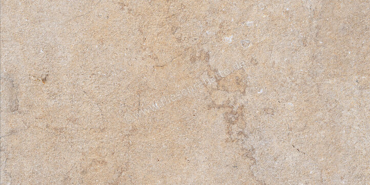  Ragno Realstone_Jerusalem Noce 30x60 cm Bodenfliese / Wandfliese Matt Eben Naturale R05U | 690347