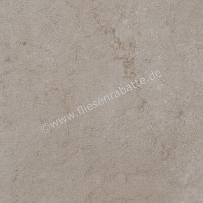  Ragno Realstone_Jerusalem Grigio 60x60 cm Bodenfliese / Wandfliese Matt Eben Naturale R10W | 690497