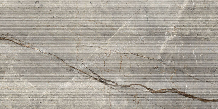  Ceramiche Caesar Marble Inspiration Anima Futura Amazing Silver 60x120 cm Dekor Stripes Matt Eben Naturale AIAS CAE | 698096