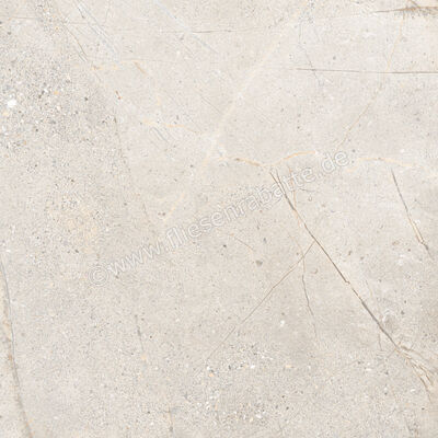  Ceramica Rondine Crust Light Grey 120x120 cm Bodenfliese / Wandfliese Matt Eben Naturale J94182 | 701688
