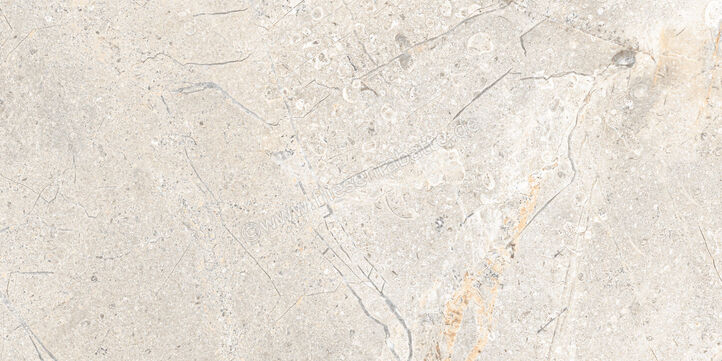  Ceramica Rondine Crust Light Grey 30x60 cm Bodenfliese / Wandfliese Matt Eben Naturale J93663 | 701700