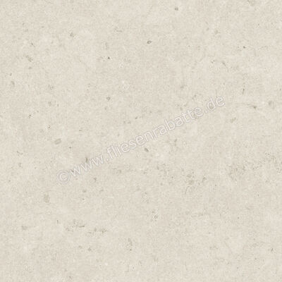  Monocibec Cremaluna Grigio 120x120 cm Bodenfliese / Wandfliese Matt Eben Natural Evolution 0148265 | 704892
