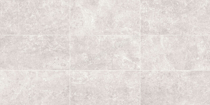 Love Tiles Marble Light Grey 35x70 cm Wandfliese Matt Eben Naturale B629.0150.047 | 89587