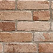Bricks